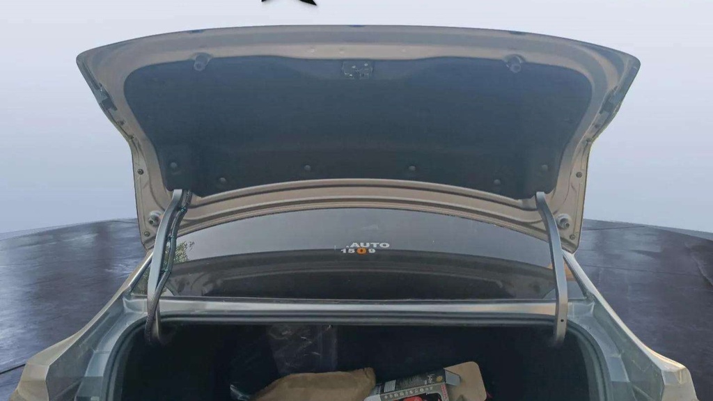 TRUNK HOOD
