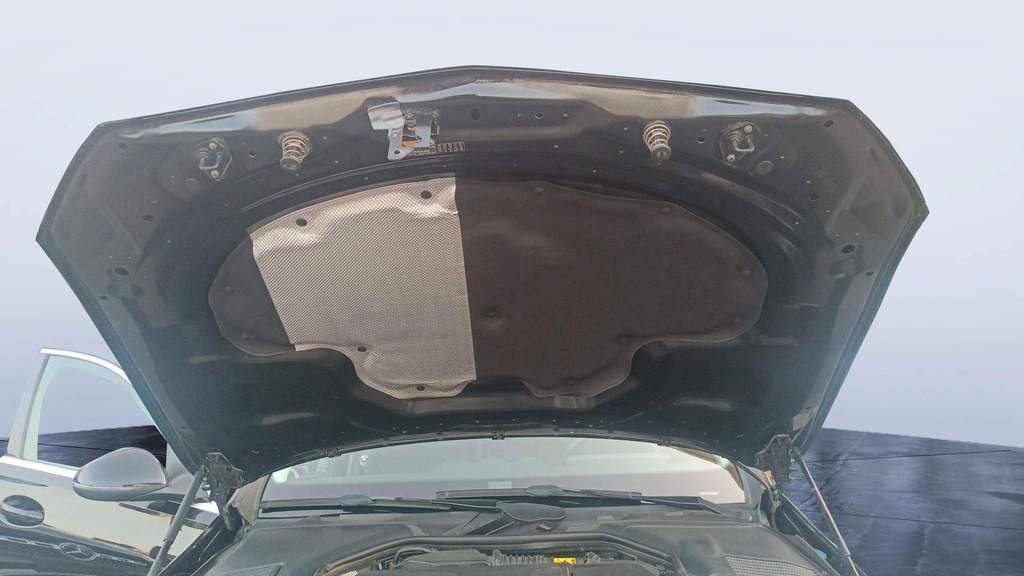 CAR HOOD