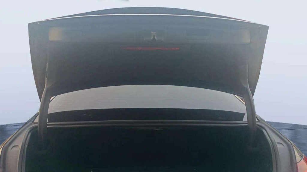 TRUNK HOOD