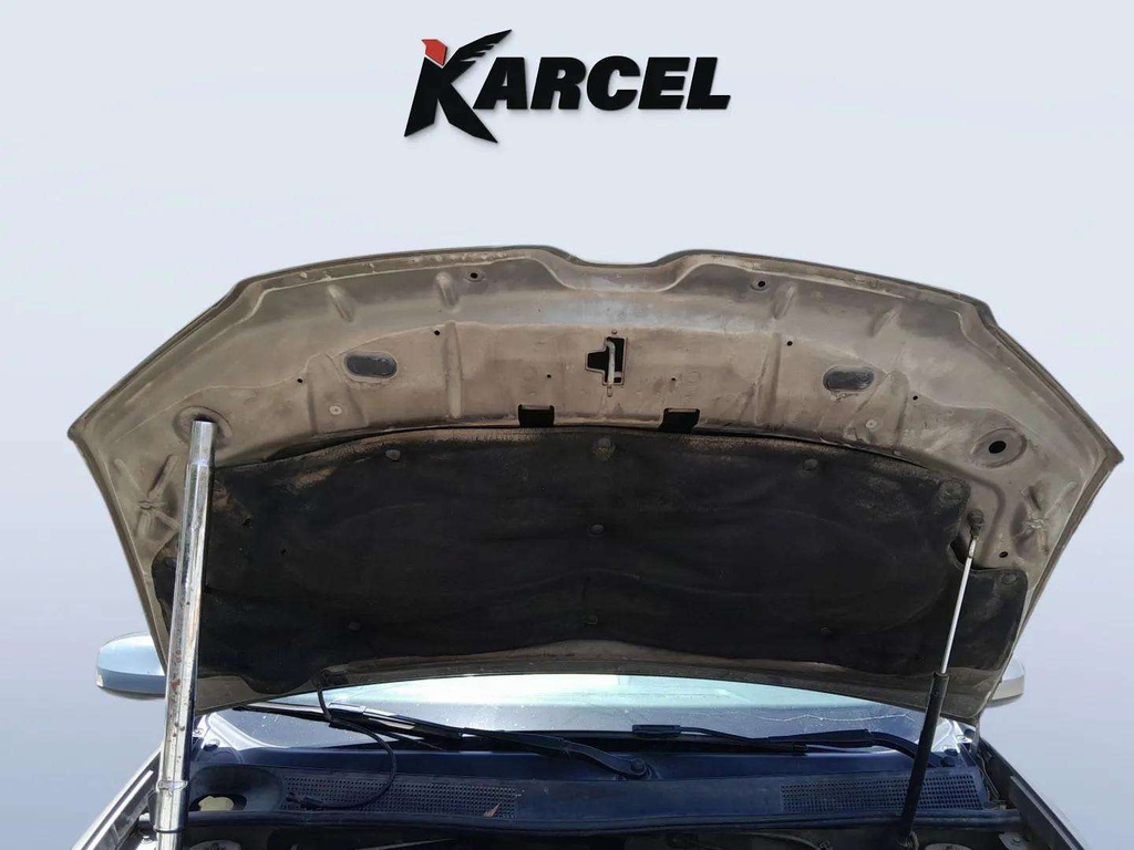 CAR HOOD