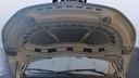CAR HOOD