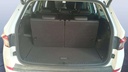 TRUNK