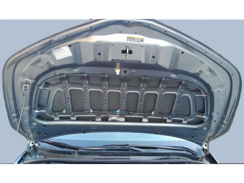 CAR HOOD