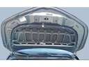 CAR HOOD