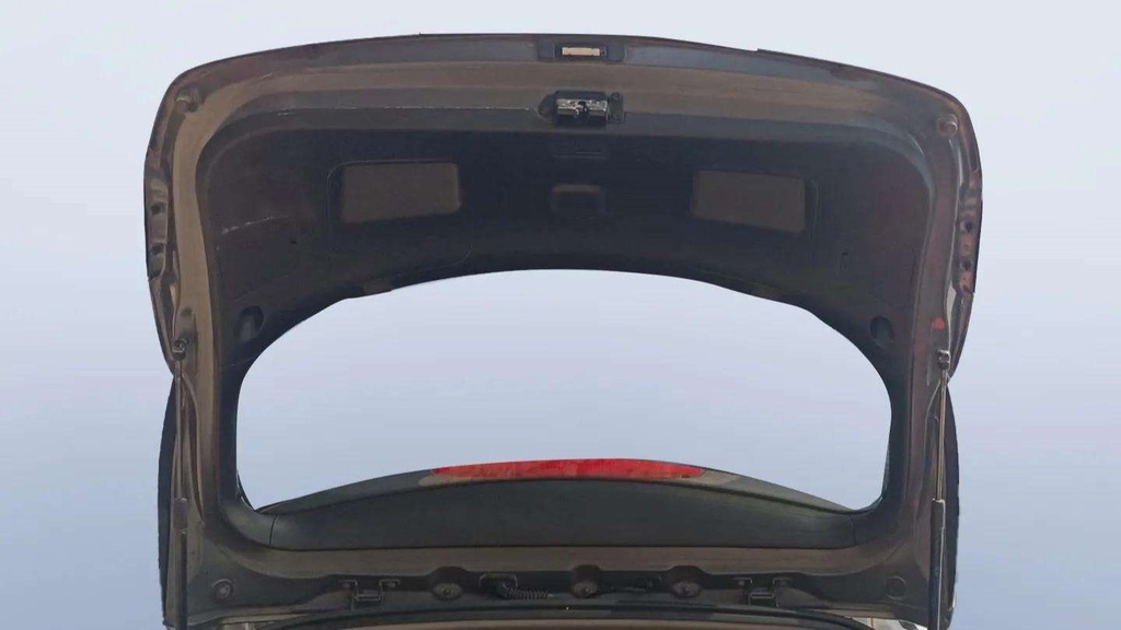 TRUNK HOOD