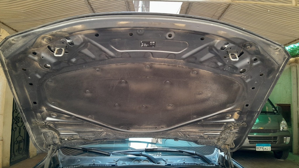 CAR HOOD