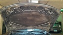CAR HOOD