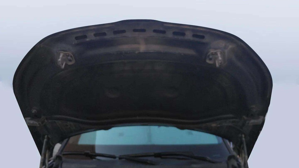 CAR HOOD