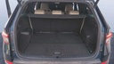 TRUNK