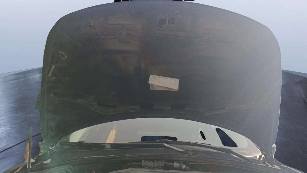 CAR HOOD