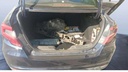 TRUNK