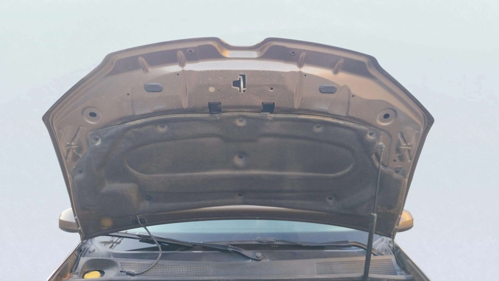 CAR HOOD