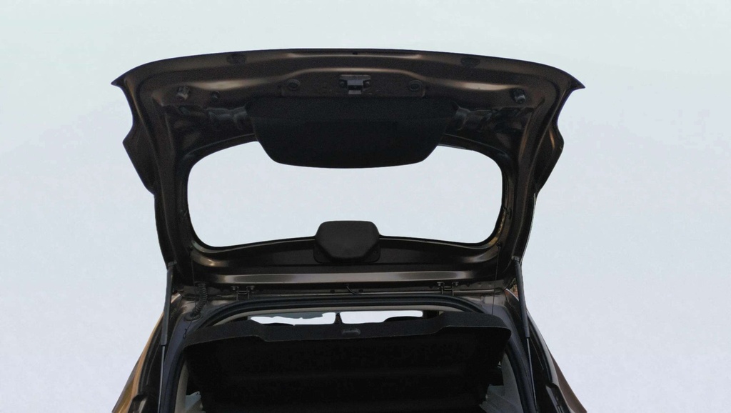 TRUNK HOOD