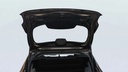 TRUNK HOOD