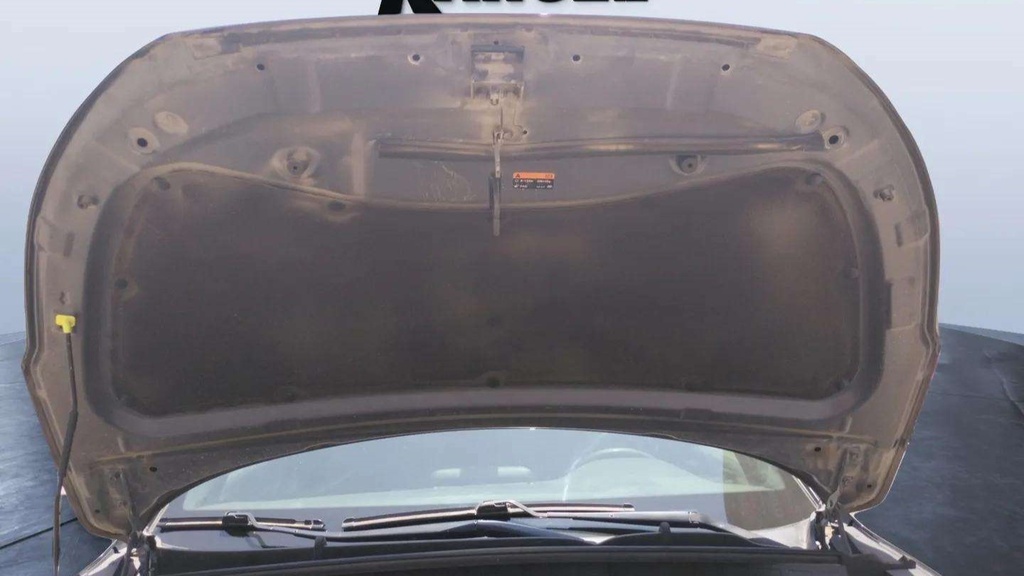 CAR HOOD