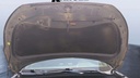 CAR HOOD