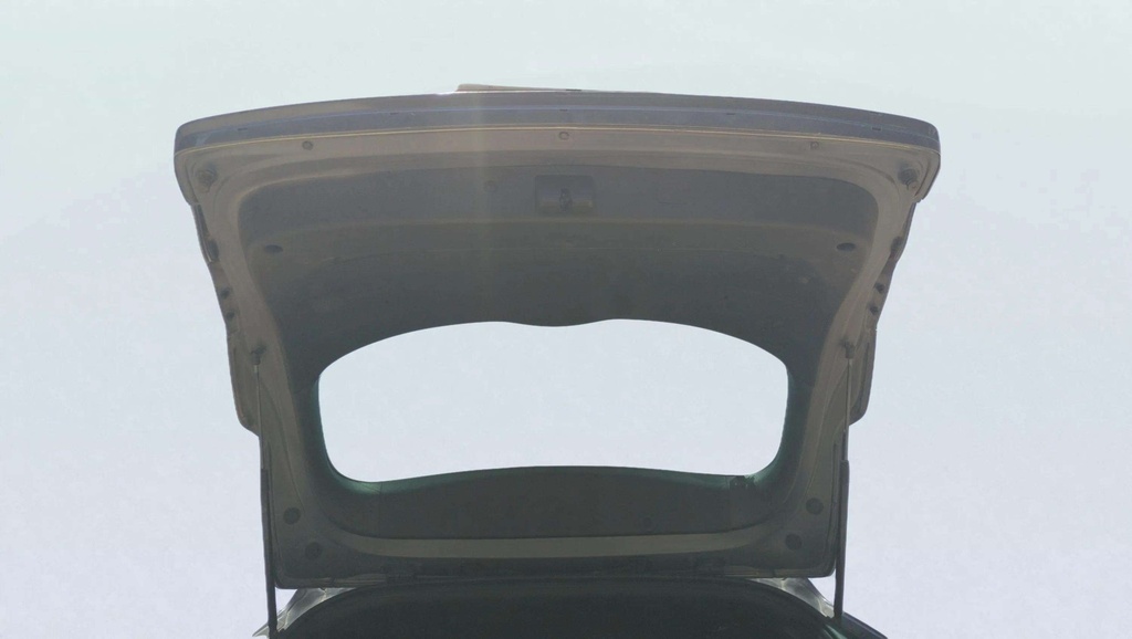TRUNK HOOD