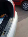 sunny 2010 3.jpg