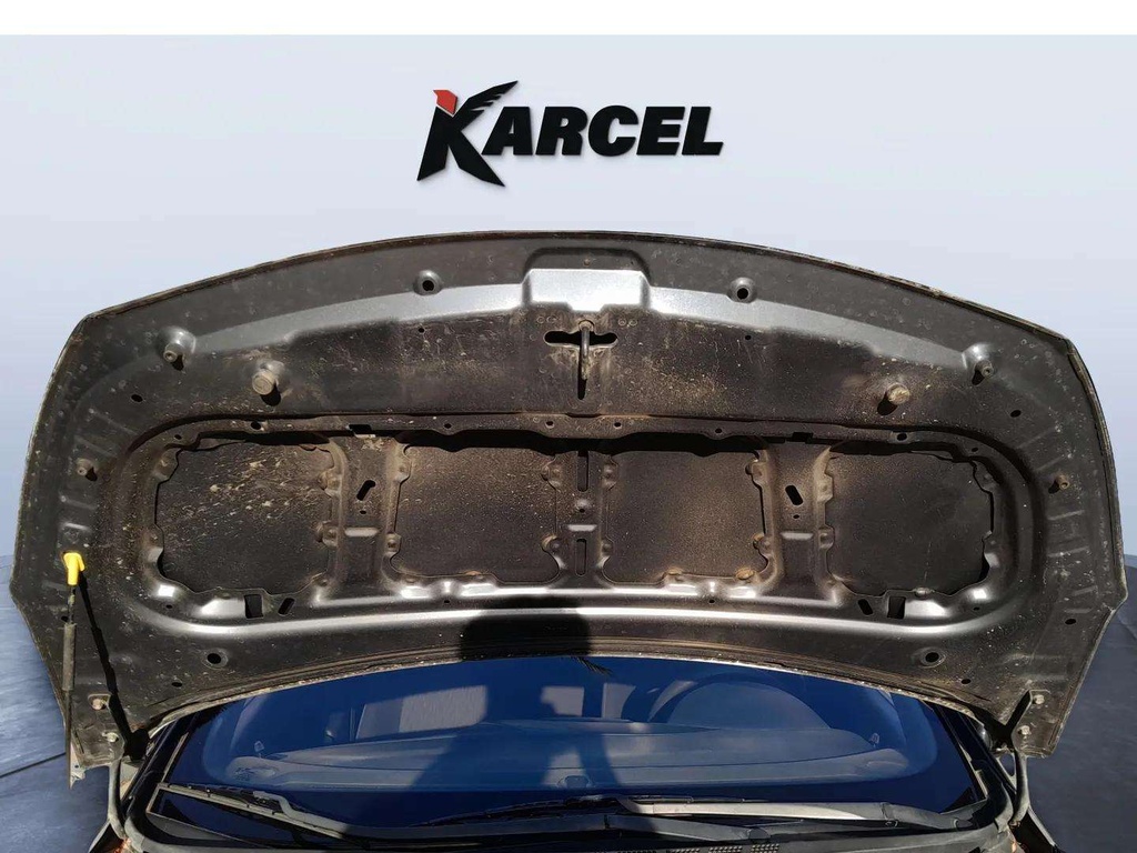 CAR HOOD