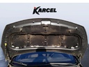 CAR HOOD