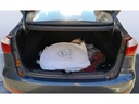 TRUNK