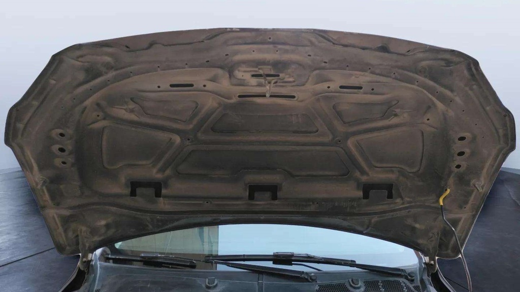 CAR HOOD