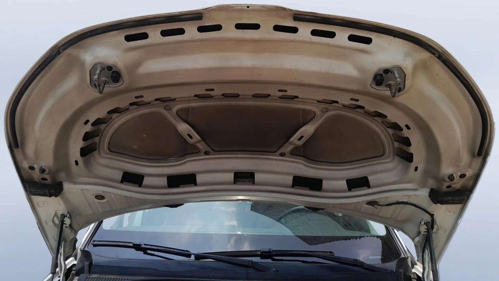 CAR HOOD