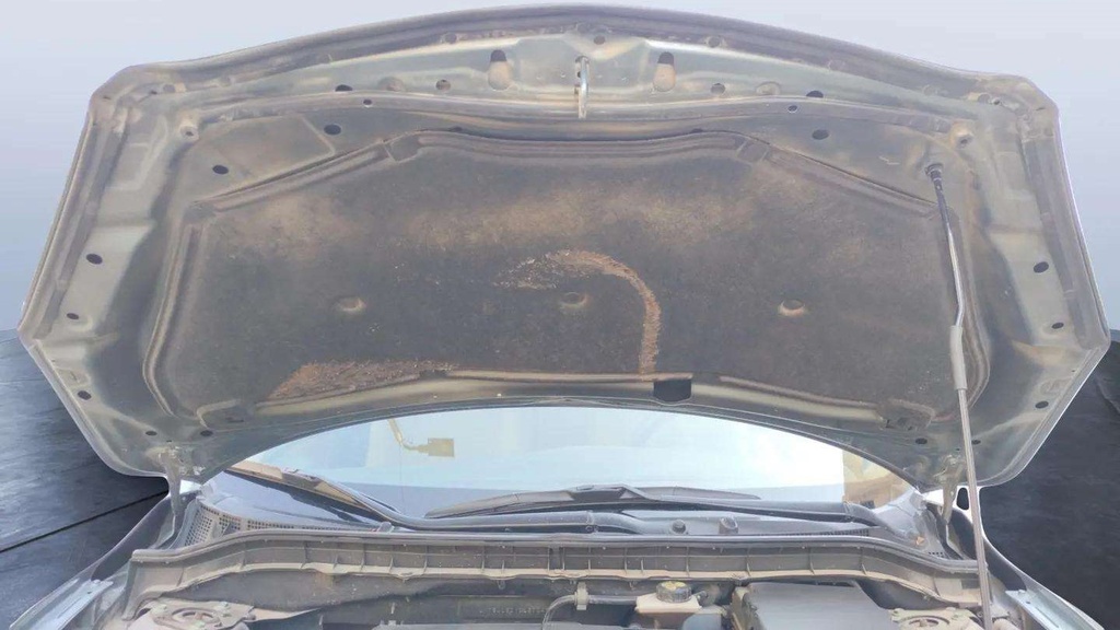 CAR HOOD