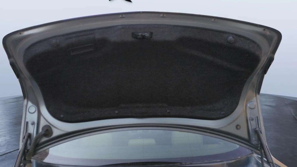 TRUNK HOOD