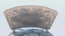 CAR HOOD