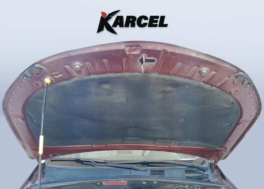 CAR HOOD