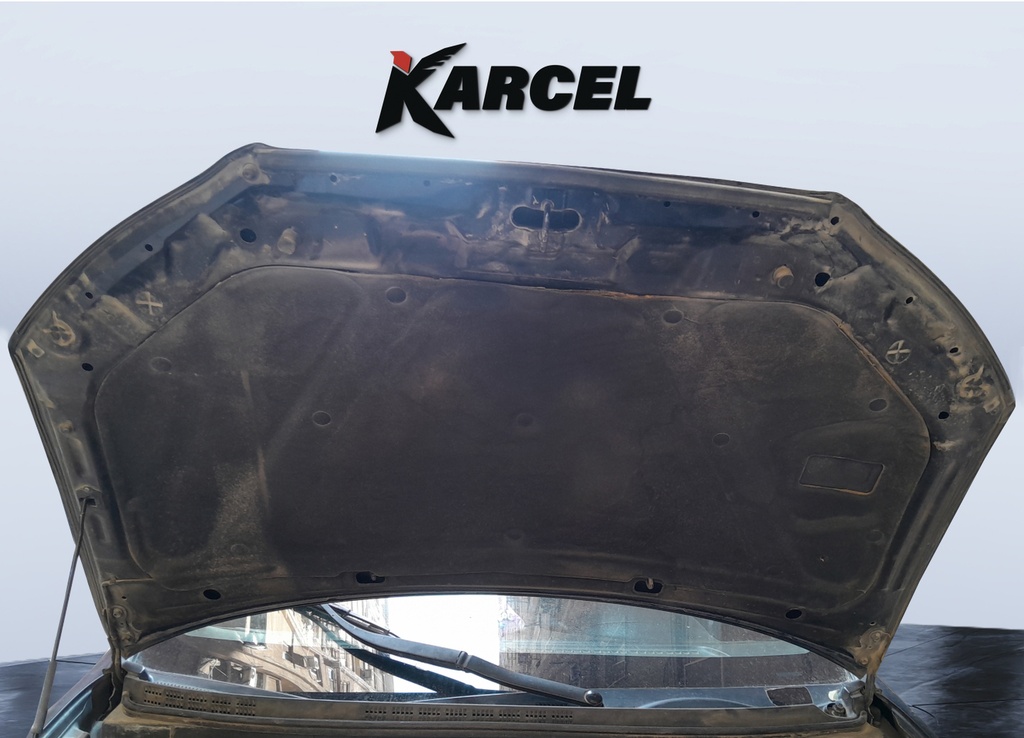 CAR HOOD