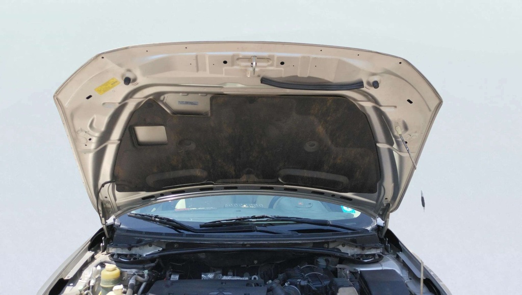 CAR HOOD