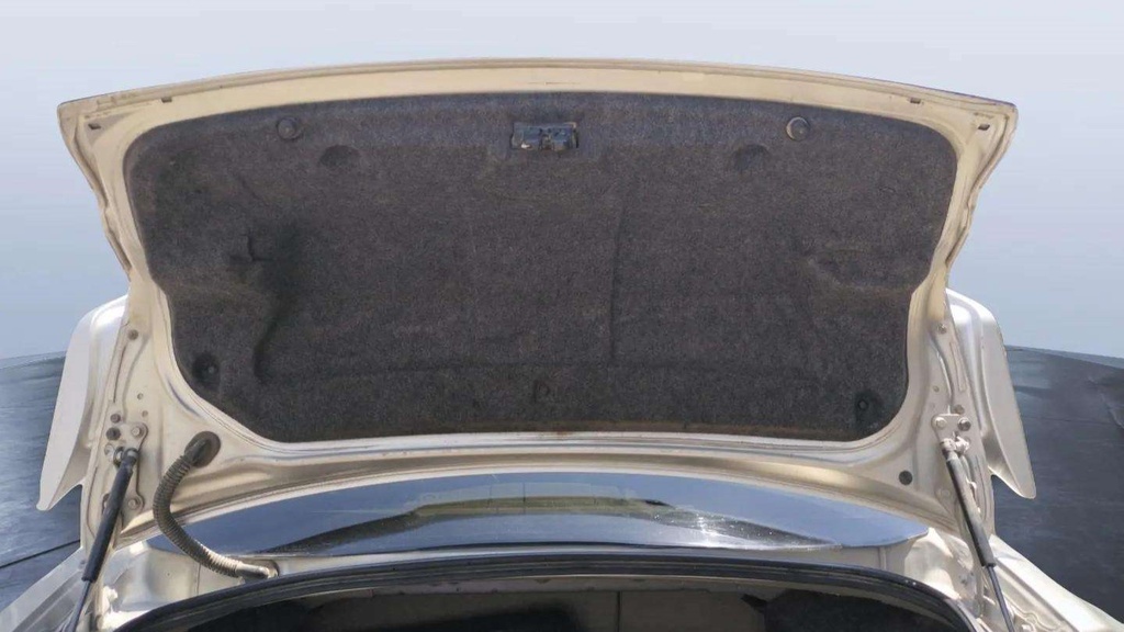 TRUNK HOOD