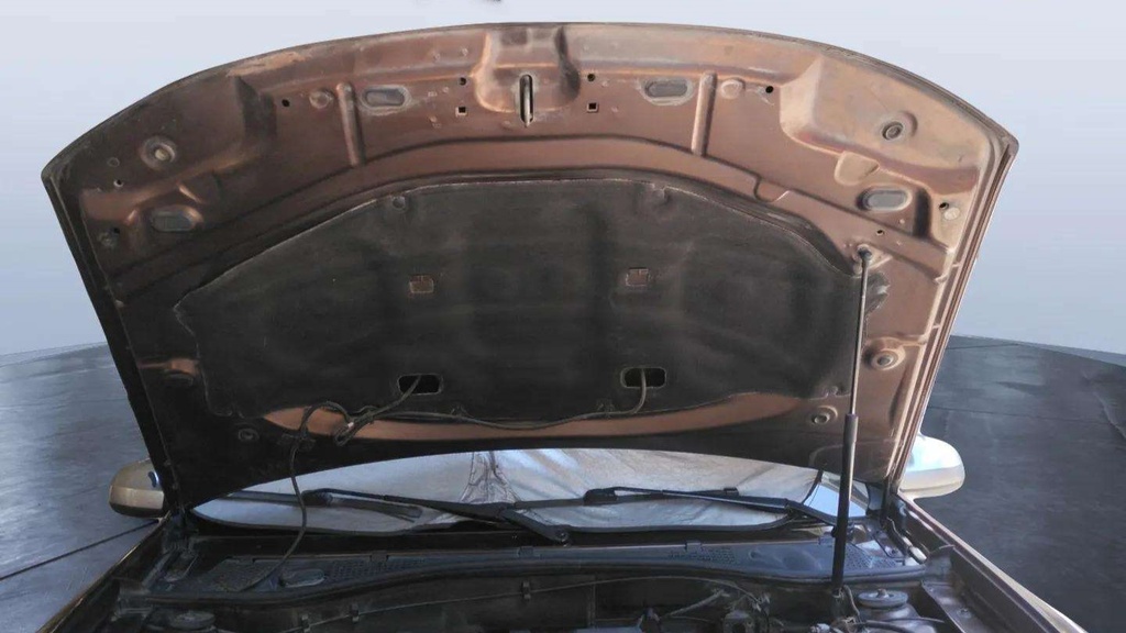 CAR HOOD