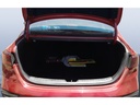 TRUNK