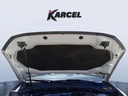 CAR HOOD