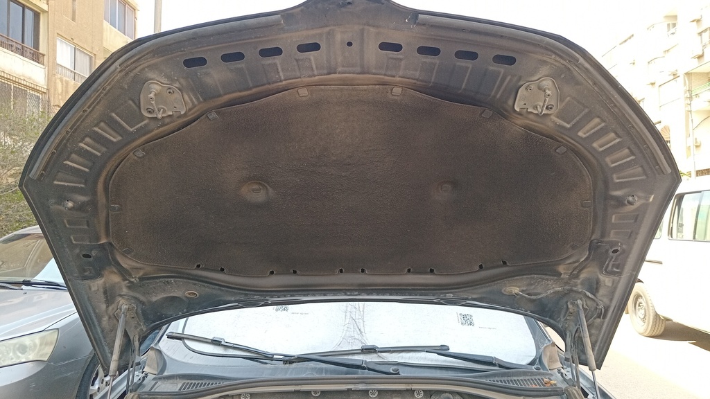 CAR HOOD