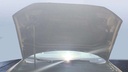 CAR HOOD