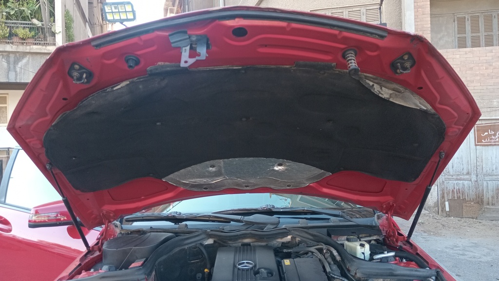 CAR HOOD