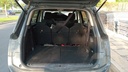 TRUNK