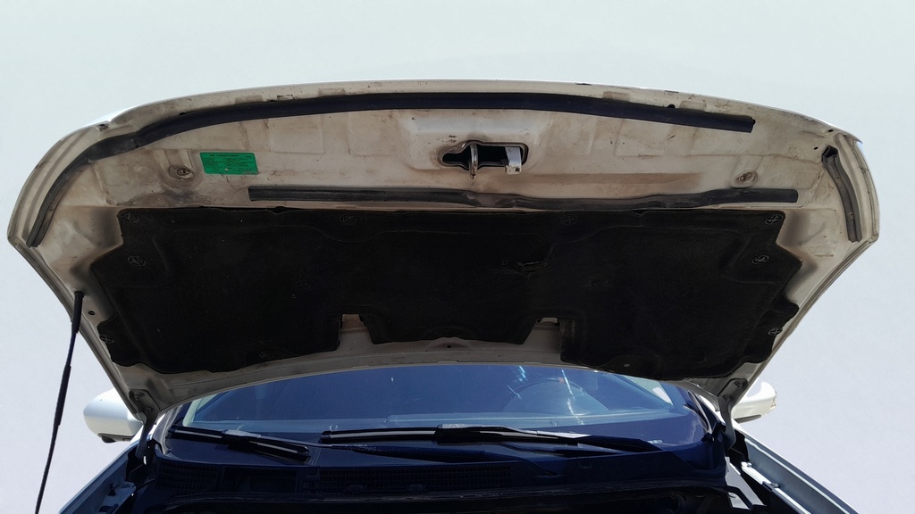 CAR HOOD