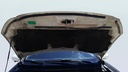 CAR HOOD