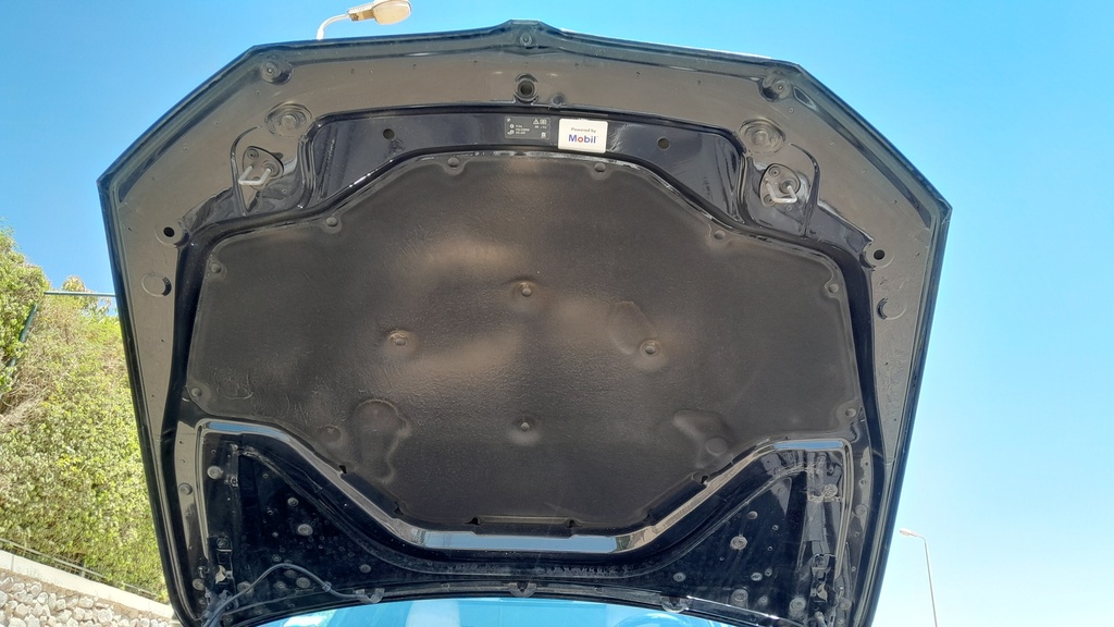 CAR HOOD