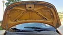 CAR HOOD
