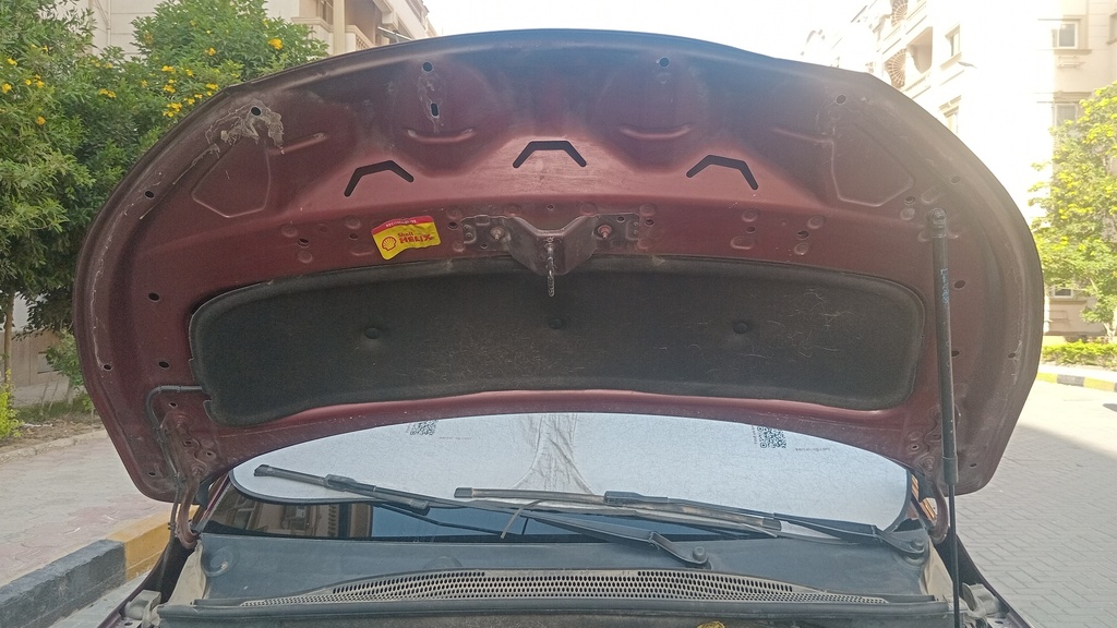 CAR HOOD