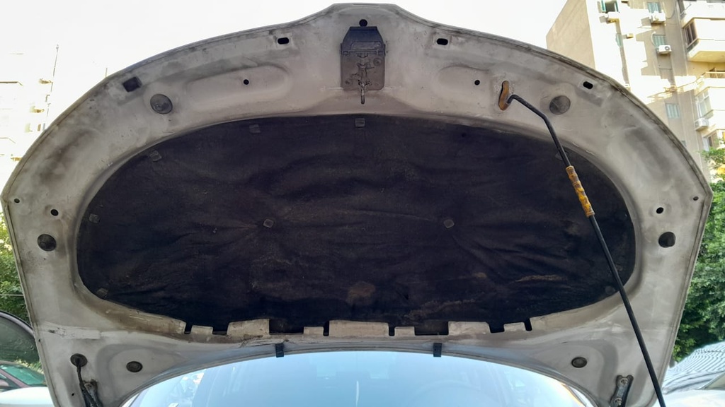 CAR HOOD