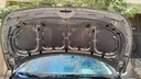 CAR HOOD