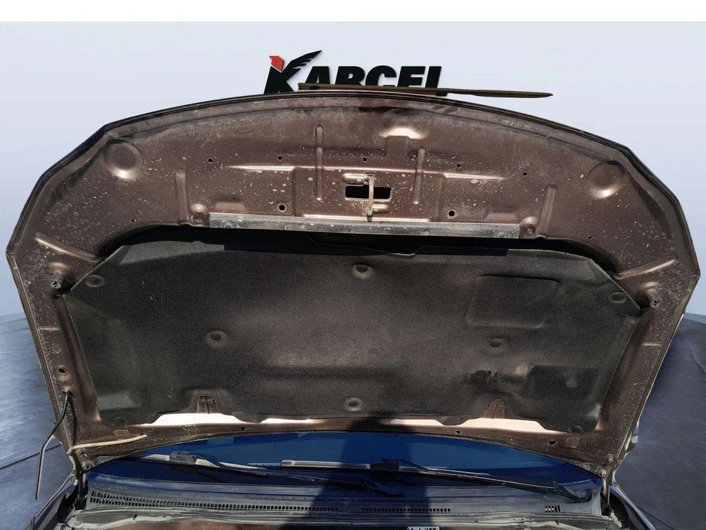 CAR HOOD