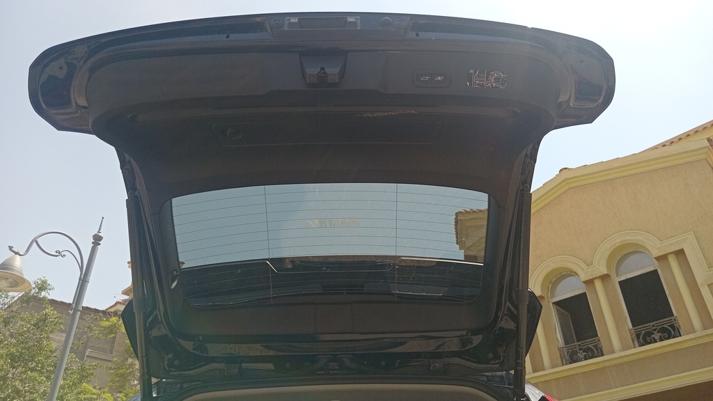 TRUNK HOOD